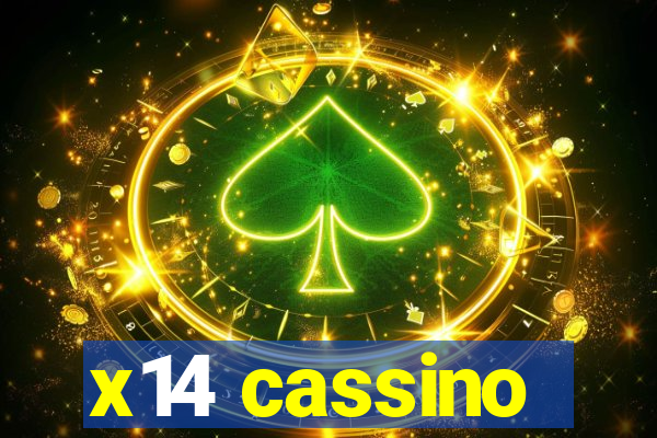 x14 cassino